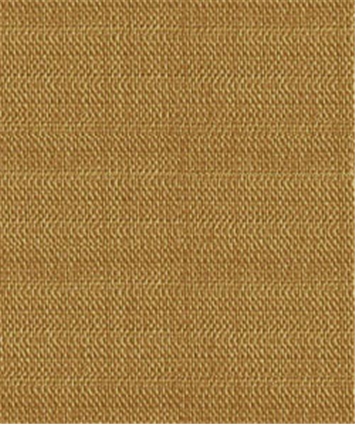 Katie Teak M7286
