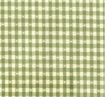 Linley Gingham 228 Fern