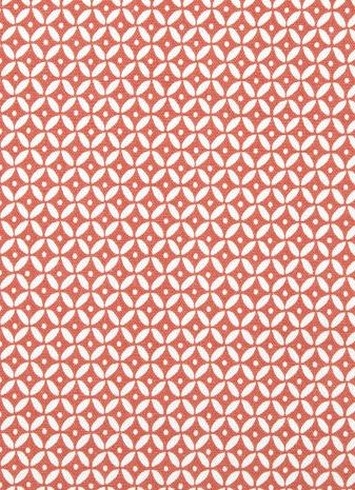 Nomad Mix Crypton Blush