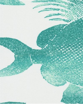 ODL Fish Turquoise