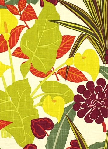 Rowlily Jungle