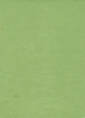 Comfort Suede Kiwi