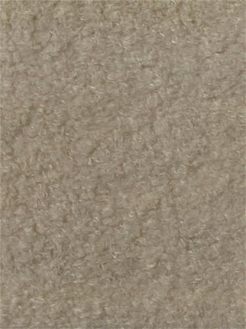 Teddy Cream Europatex Fabric 