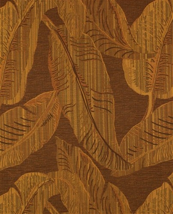 Tomei Amber