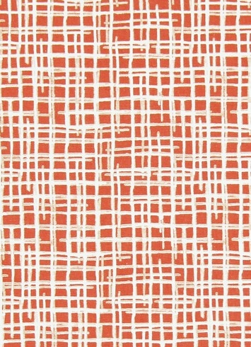 Unravel Persimmon