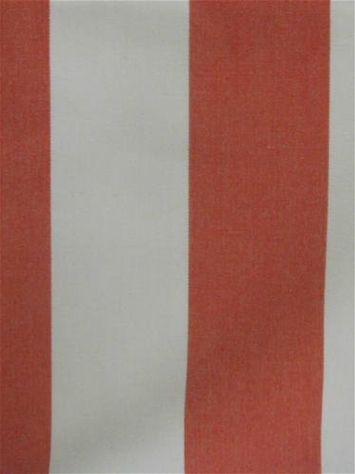Venice Beach Coral Barrow Fabric