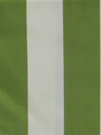 Venice Beach Spring Barrow Fabric