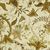 Pontoise Wheat