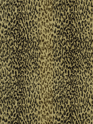 ROCK LEOPARD SNOW LEOPARD
