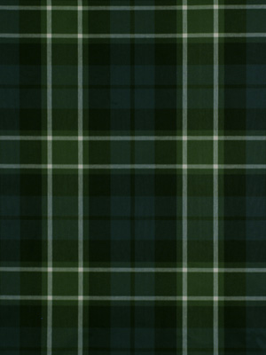 PLAID GLEN NAVY GREEN