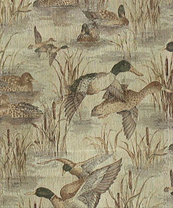 Uxbridge Marsh