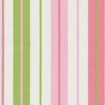 Penny Stripe Watermelon