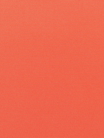 Canvas 5415 Melon