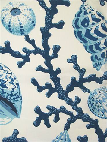 Sea Shell Branch Pacific