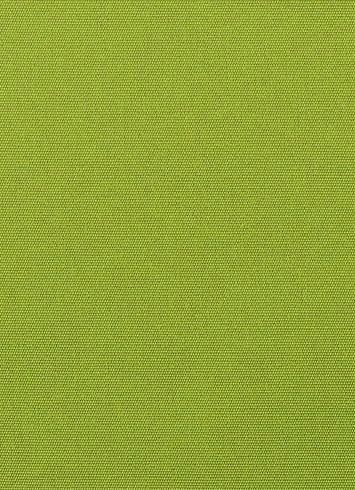 Canvas 54011 Ginkgo - DO NOT USE