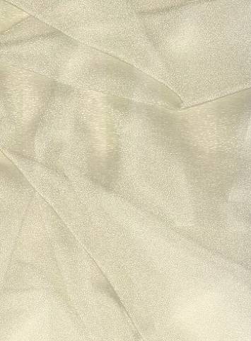 Champagne Sparkle Organza Fabric