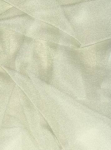 Ivory Sparkle Organza Fabric