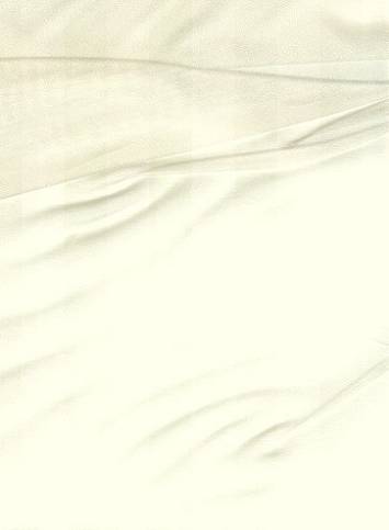 Ivory Silk Organza Fabric
