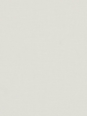 CANVAS DUCK WHITE