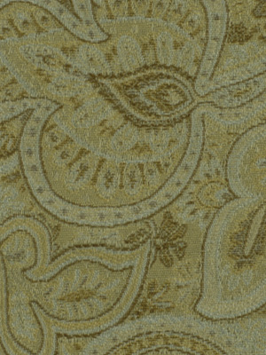 PAISLEY WOVEN OASIS