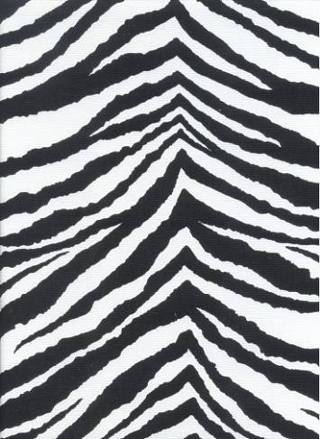 Tunisia black/White
