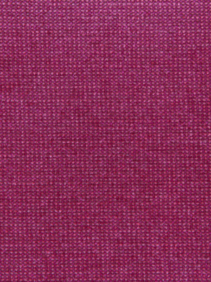 SINTON FUCHSIA