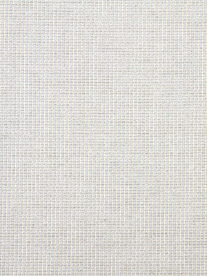 Cotton Loop Blue Opal Robert Allen
