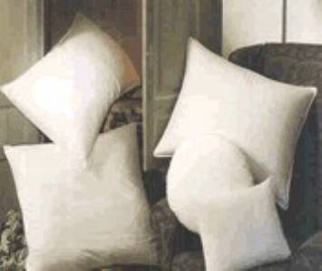 16" X 16" Pillow