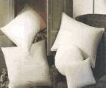 20" X 20" Pillow
