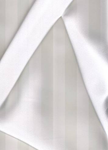 White Silk Charmeuse Fabric