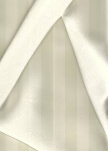 Ivory Silk Charmeuse Fabric