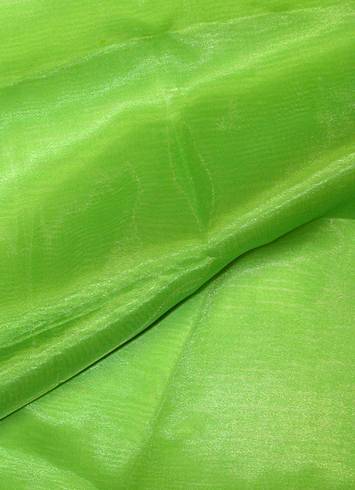 Apple Green Crystal Organza