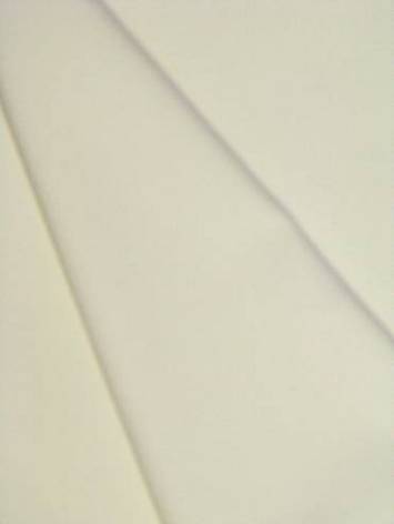 Cameo Ivory Poplin