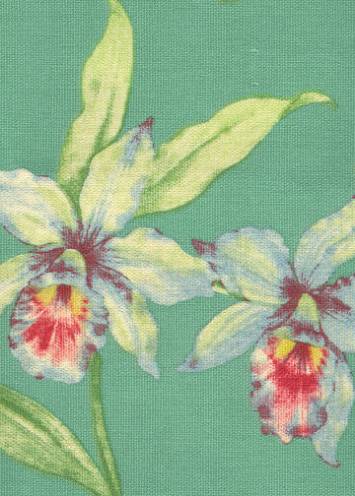 Orchid Cove Turquoise