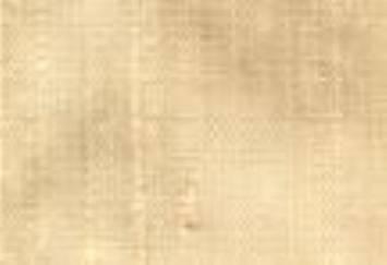 Sand Silk Dupioni Fabric