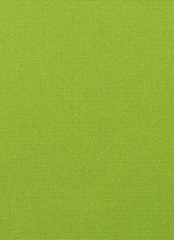 Canvas Macaw 5429 Sunbrella Fabric
