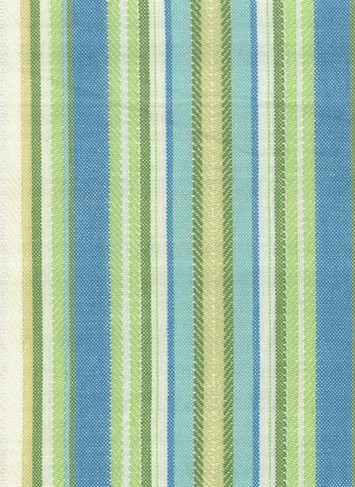 CARNIVAL  HONEYDEW D2906