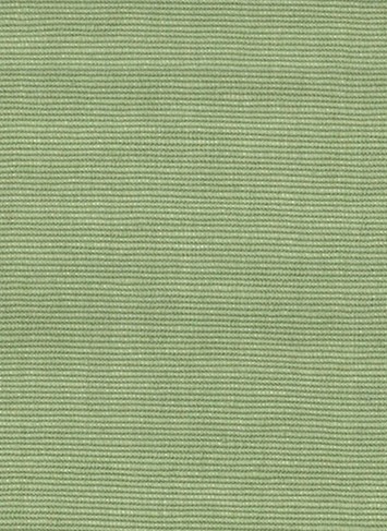 CLIPPER SAGEGRASS DZ44