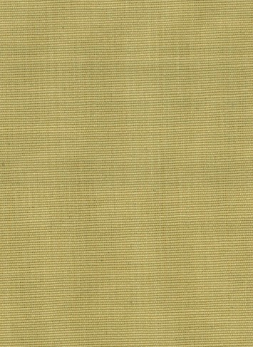 CLIPPER WHEAT  DZ45