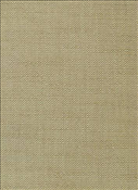 PKaufmann Groupie Sandstone, Beige Solid Fabric