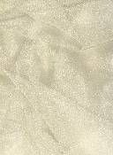 Champagne Sparkle Organza Fabric