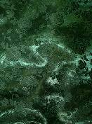Hunter Green j14 Eversong Brocade Fabric