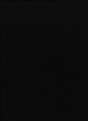 Canvas Black 5408-0000 Sunbrella Fabric