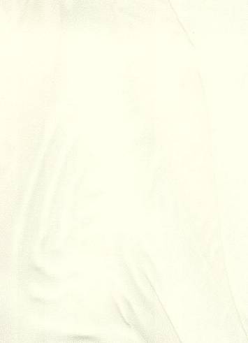 ivory chiffon fabric