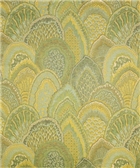 ASHORE KELP ASHORE KELP