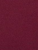 Barry Beet - Performance Canvas Barry Beet - Performance Canvas