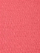 Barry Pink - Performance Canvas Barry Pink - Performance Canvas