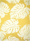 SD Bay Palm 885 Sunshine SD Bay Palm 885 Sunshine