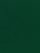 Canvas 5446 Forest Green