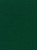 Canvas 5446 Forest Green Sunbrella Fabric